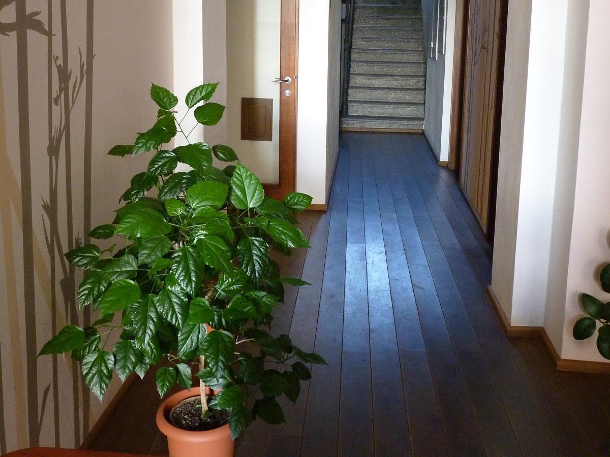 Hotel Art Písek Eksteriør bilde