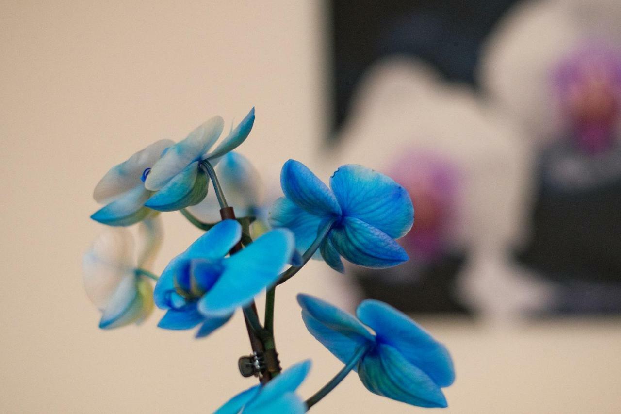 Hotel Art Písek Eksteriør bilde